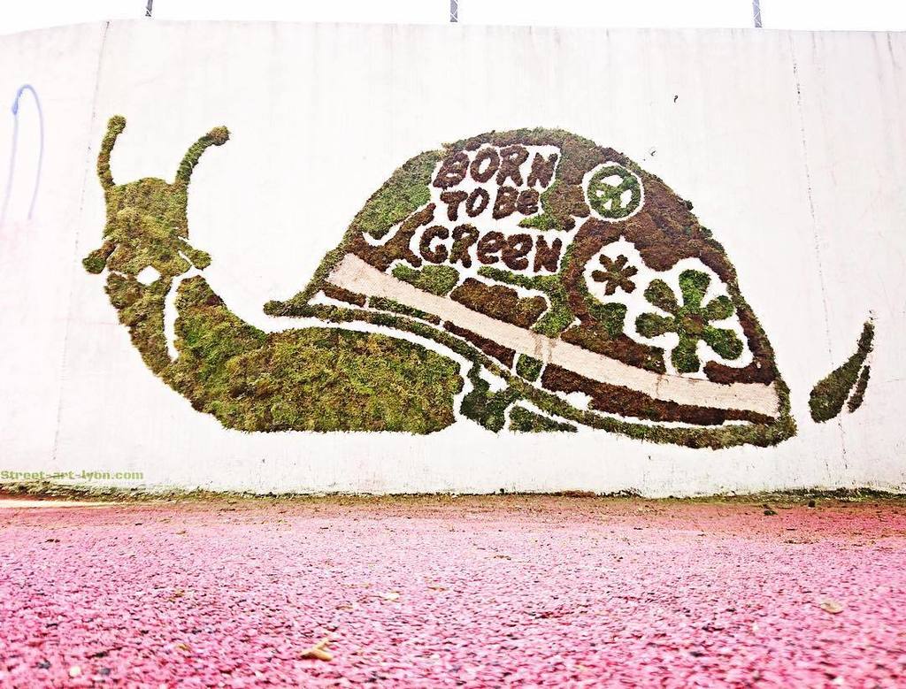 GREEN#green #grenoble #moss #mossart #grenoblestreetart #mousse #nature #escargot #fullmetaljacket #borntobegreen #…