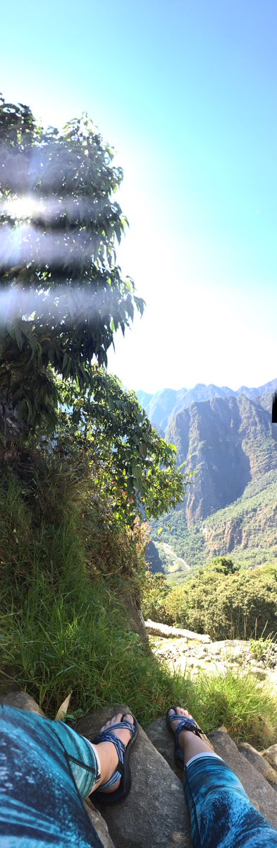 Schape_dat_ask's tweet photo. Unfiltered views from Machu Picchu @chacousa ⛰ https://t.co/U98vU2qRvB