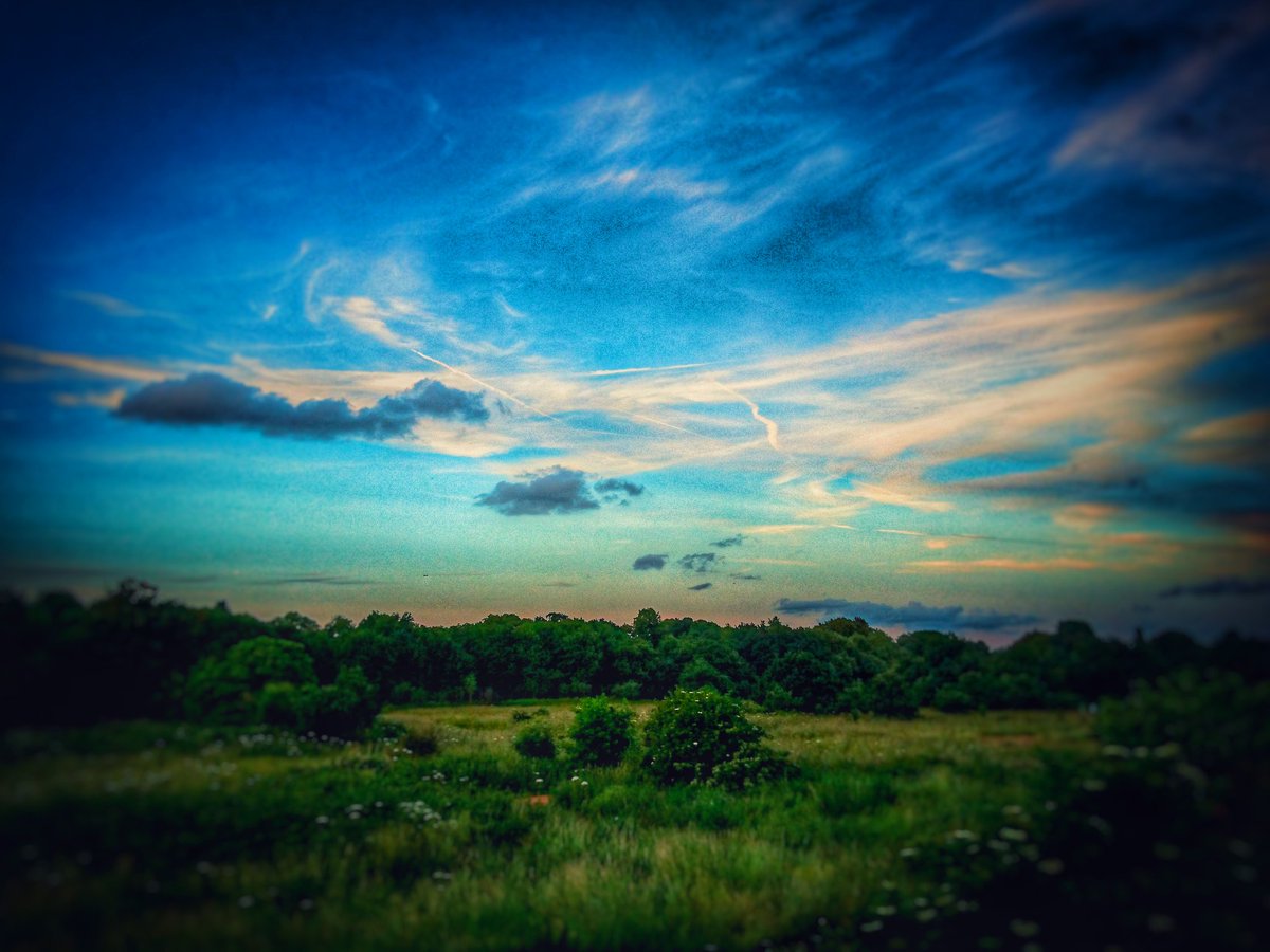 #cranepark #itookthis #mothernature #ourworld #everydayisdifferent #photography #beautiful #sky #clouds #summer