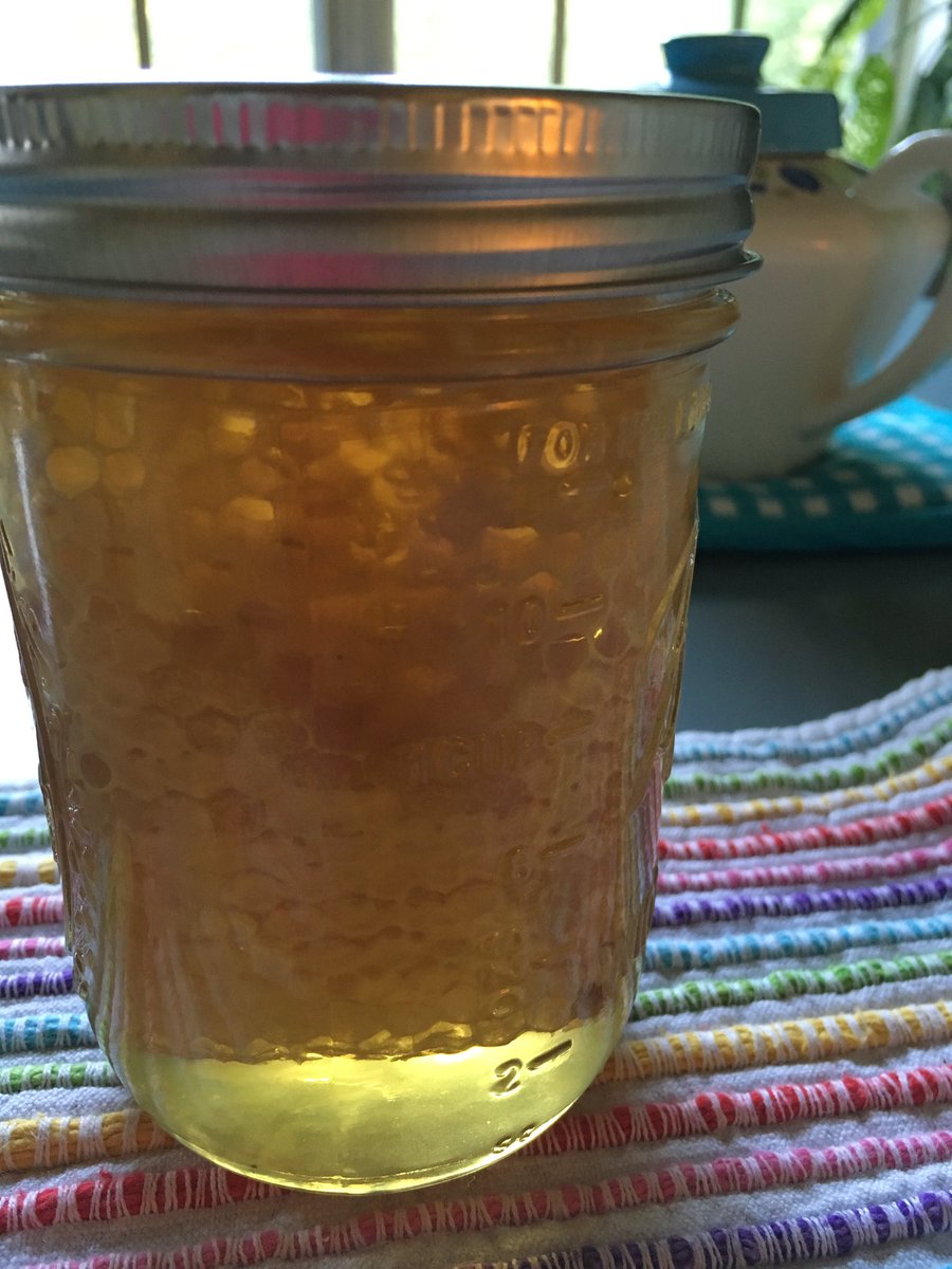 JosieGladys's tweet photo. Raw gallberry honey with the comb. I can taste the flowers! #supportlocalbeekeepers #pollinators #honeybees #bees https://t.co/8bTeRH9lob