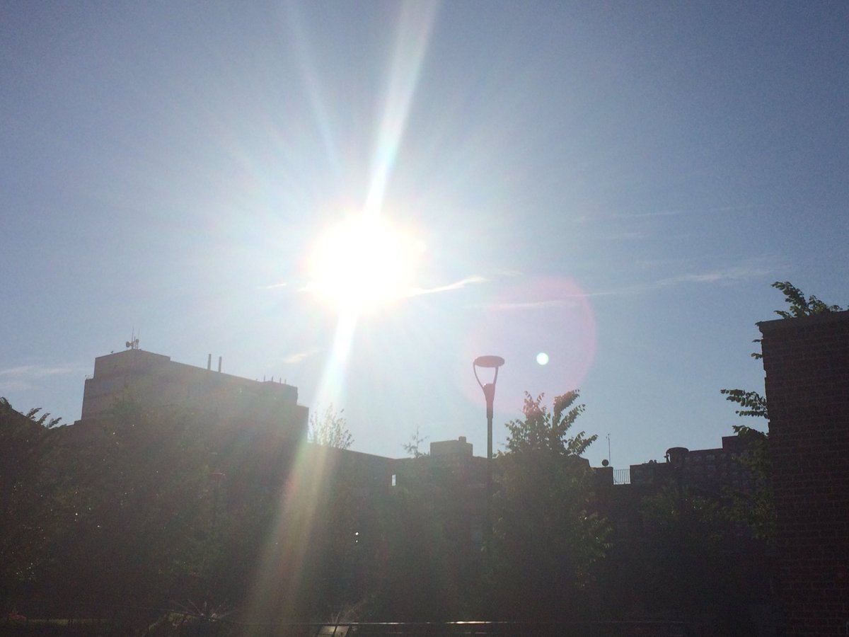 StephanieCNews's tweet photo. What an absolutely beautiful Sunday morning!! It doesn't get more perfect than this! 🌞🌸🌼 https://t.co/dqk6UfduG5