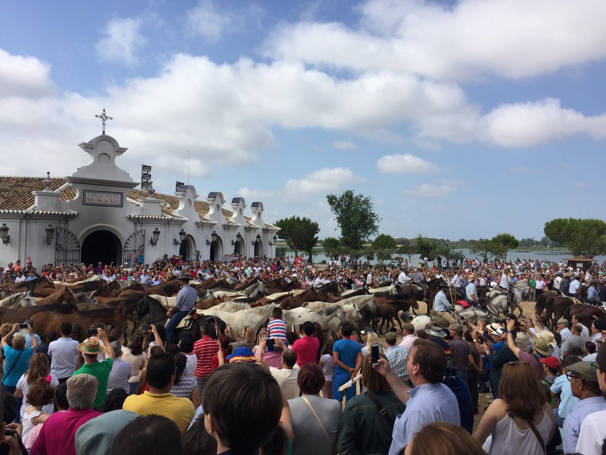 jignacioreales's tweet photo. Las yeguas pasando por delante del Santuario del Rocío. Tradición multisecular de Almonte. Saca de las yeguas 2016 https://t.co/ky9s2XRSZW