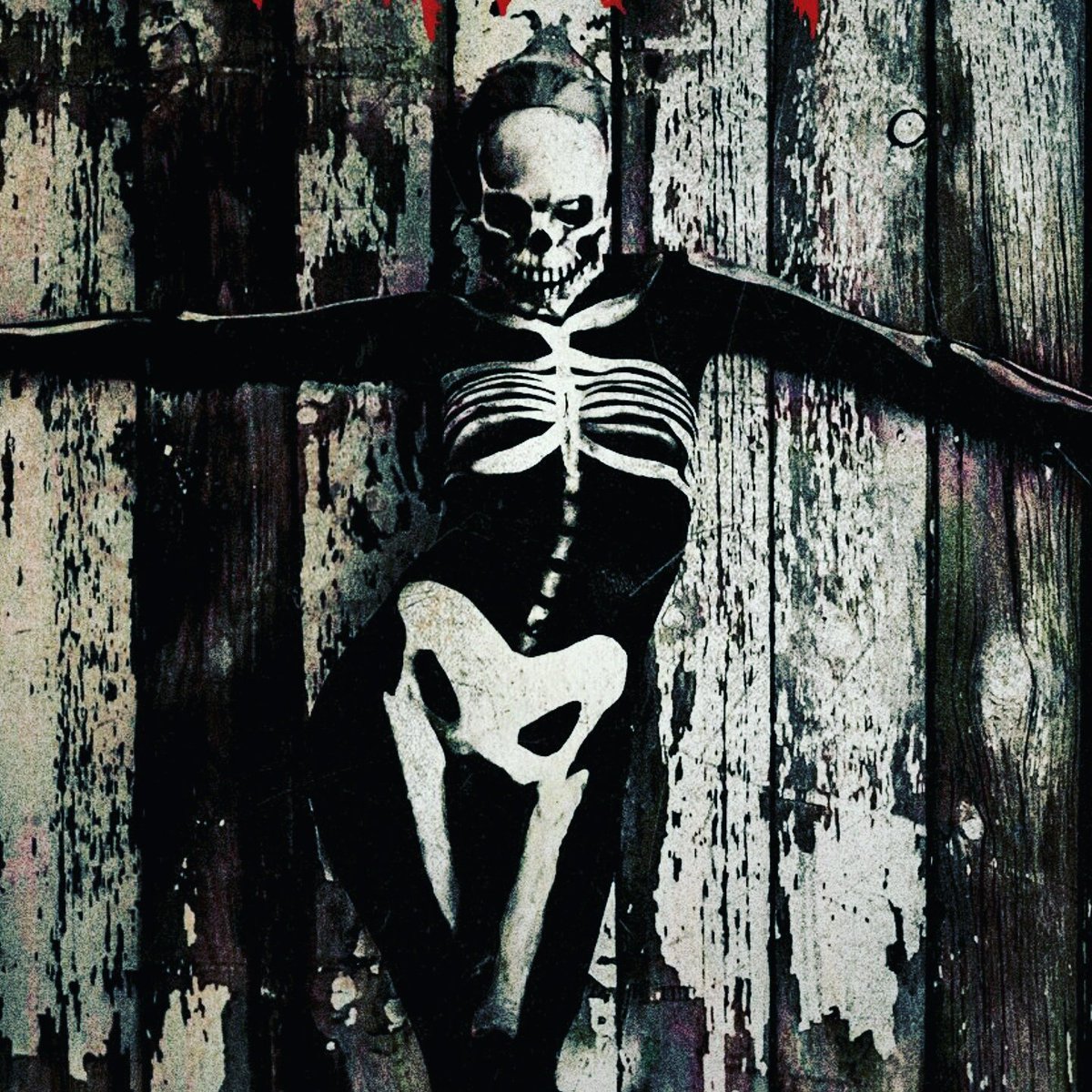 Scotticorn555's tweet photo. Soon! ππππππ #slipknot #thegreychapter #guitarist https://t.co/I2FeadjxFM