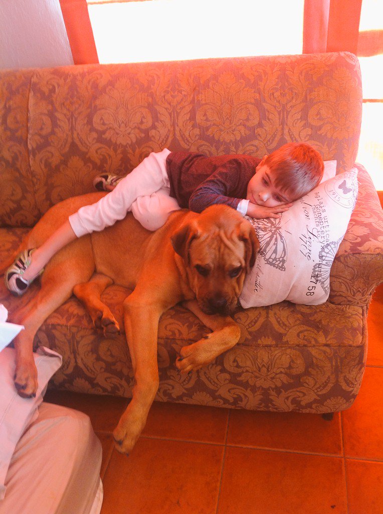 BrandonLeRiche's tweet photo. Cuddles watching movies! #bff https://t.co/75Q1gtLoNq