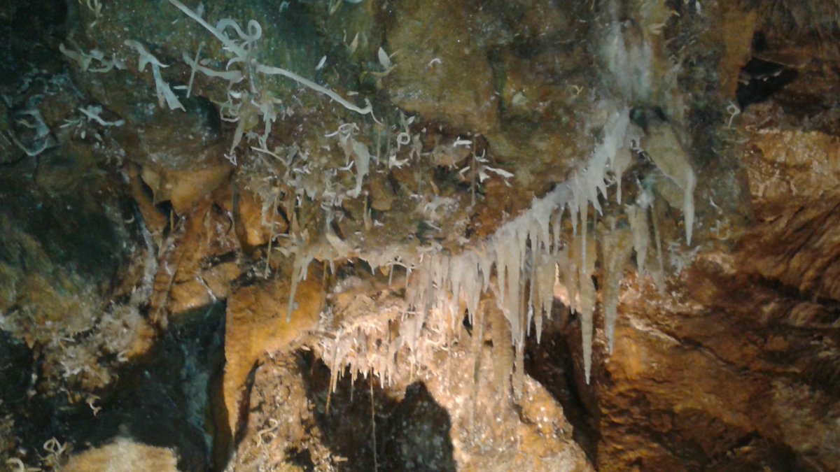JusMeGFY's tweet photo. Nature is absolutely fascinating ♡ #CaliforniaCaves #BlackChasm https://t.co/QoMVv9cuo3