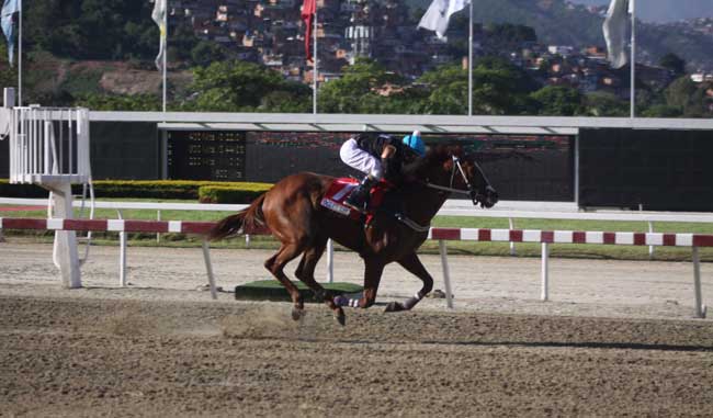 Simón Marcano tweet media