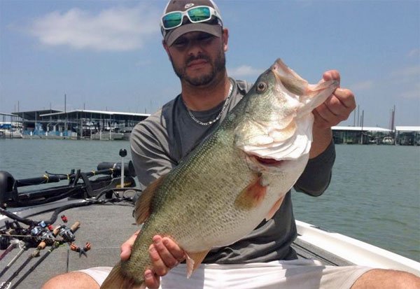 JayKumarBass's tweet photo. Hawgs of the week, Senko Rev Rig, Dock like a boss #bassmaster #bass #fishing #bassfishing https://t.co/1ne8XZcAfk https://t.co/d1DMta1FBb