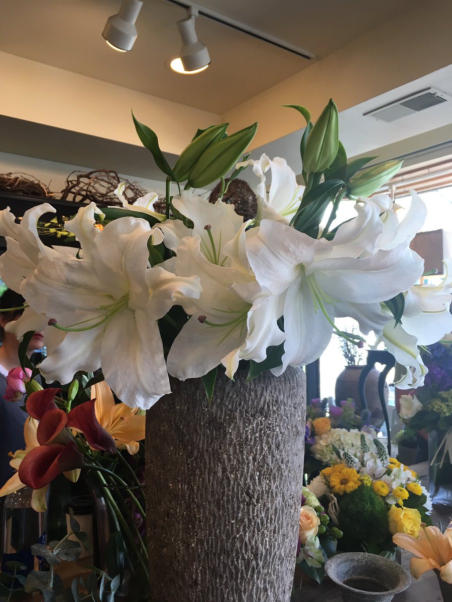 The lillies are in bloom! Come get yours at #wildflowerptown #provincetown
