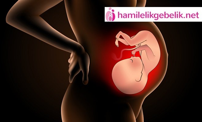 ozelcumlecikler's tweet image. Bebeğin eşinin aşağıda olması plasenta previa nedir?
bit.ly/28Wlqrz