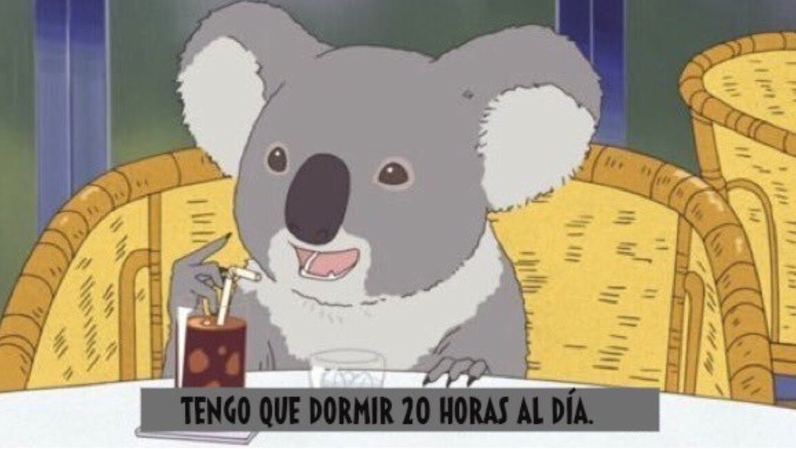 JorgeBrown_'s tweet photo. Cuando te dicen que qué vas a hacer el domingo https://t.co/hRcLx3b2UJ