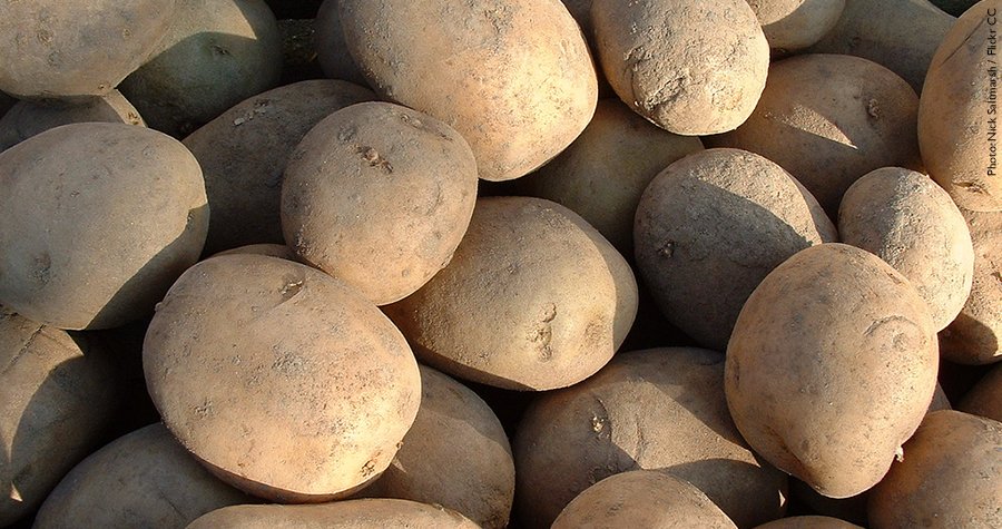 WBG_AgriFood's tweet photo. Why are scientists at @CGIAR &amp; @NASA trying to grow potatoes under Martian conditions? https://t.co/QKX8L9MUgx https://t.co/hVUtYIBtBI