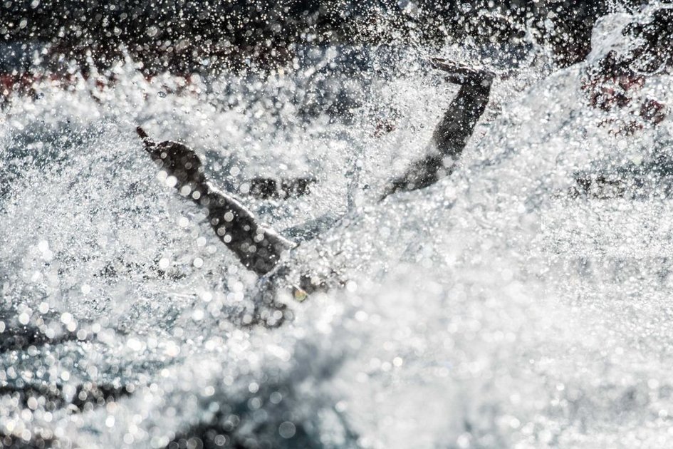 HYDRATE THE HEALTHY WAY: HYDRATION FOR SWIMMERS

bit.ly/28IrhF1