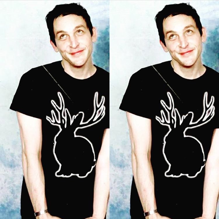 MissJoanTaylor's tweet photo. Robin is the cutest thing on earth and you can't tell otherwise https://t.co/vj7XrCEyTA