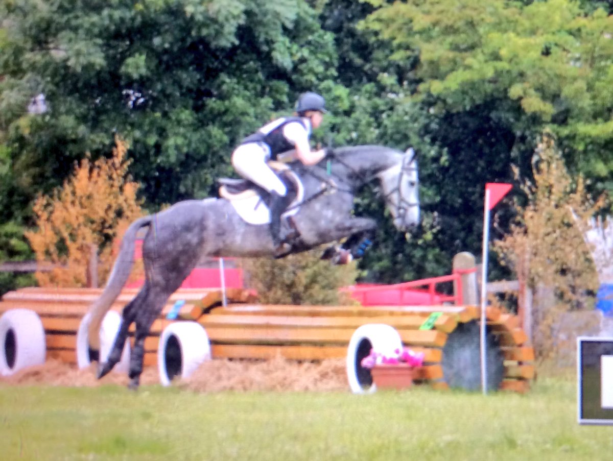 HW_Eventing's tweet photo. Lovely scopey Young horse to make eventing debut this year 😍 https://t.co/HOLZB6u4tl
