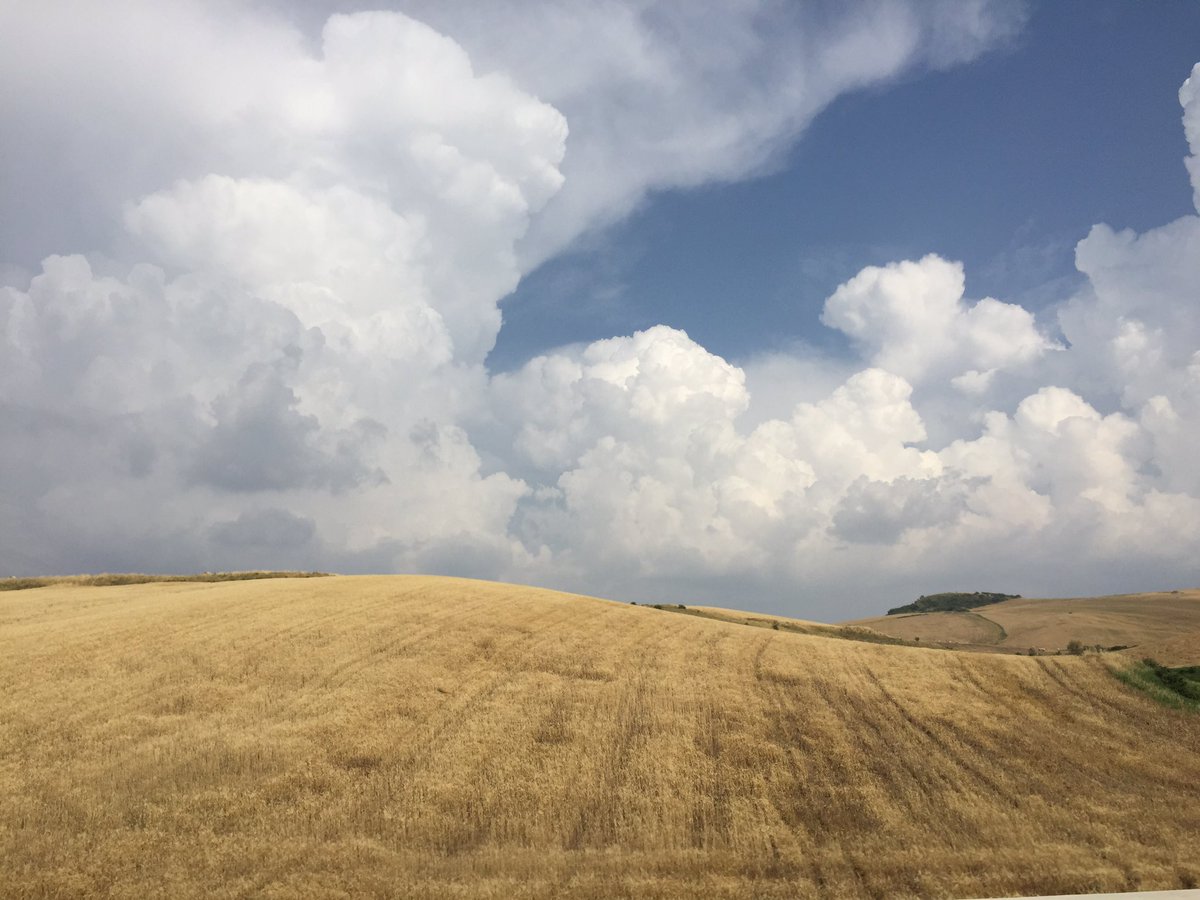 micheleemiliano's tweet photo. La meraviglia dei campi di grano della Capitanata accompagna il mio viaggio verso casa #weareinpuglia https://t.co/vKHn9M1ubp