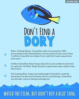 koalistcom's tweet photo. #FindingDory #FindingNemo #Environmentaldisaster #environment https://t.co/TBbhta7Fj9