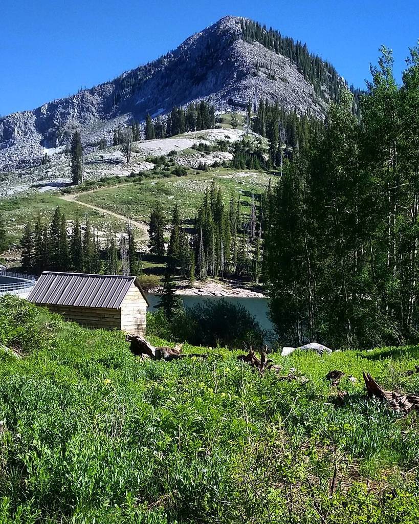 passthesushi's tweet photo. Yesterday's hike was filled with some kick ass views. .
.
.
#mountains #utahisrad #visitut… https://t.co/fE1JtFl5kb https://t.co/iDXnS70Ey3