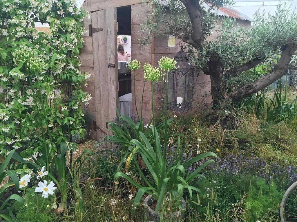 Ottoman_st's tweet photo. I've found my dream garden escape @cliftonnurseries #wildflowers #wildgarden #enchanted #n… https://t.co/4es3pJQdGf https://t.co/e0Ifmn9hOF