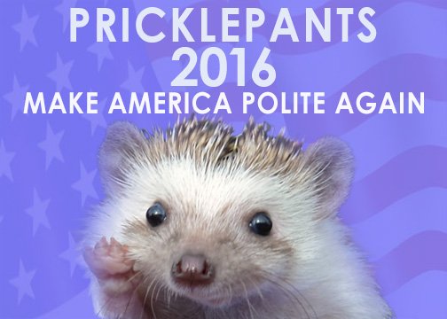 PPricklepants's tweet photo. @PWFriends See past stereotypes and #VoteHedgehog https://t.co/lDKwpIR089