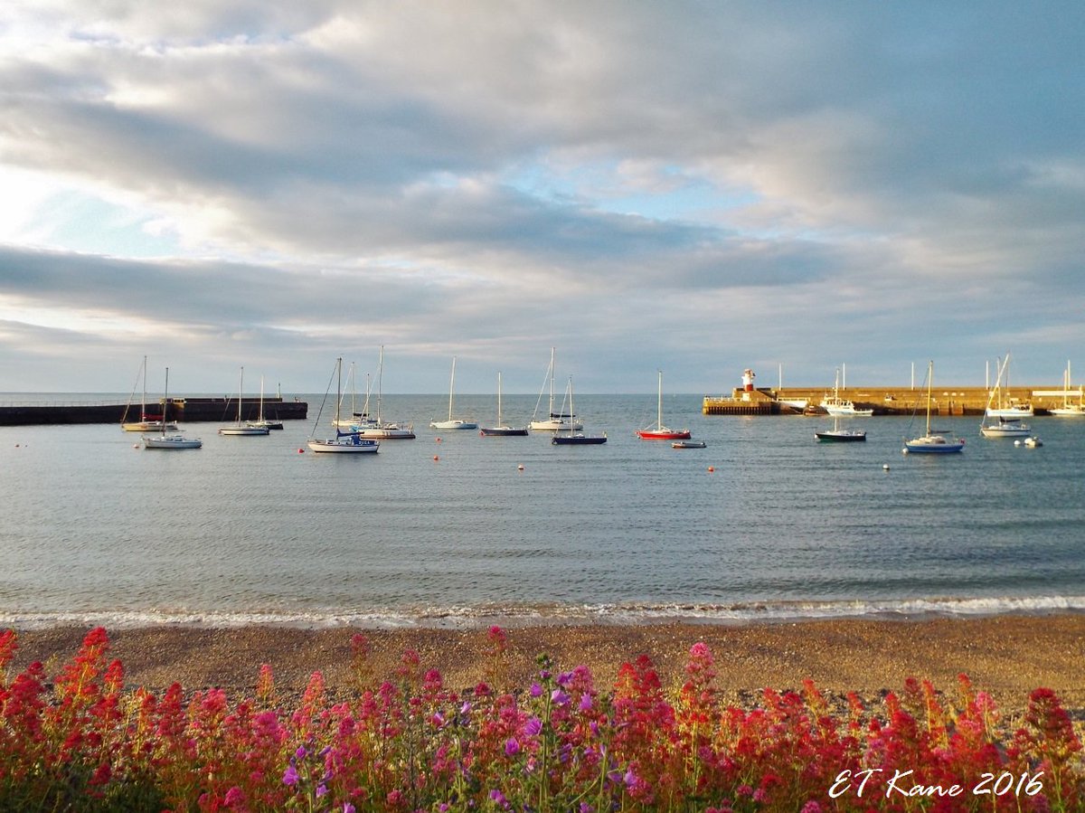 #Wicklow :)