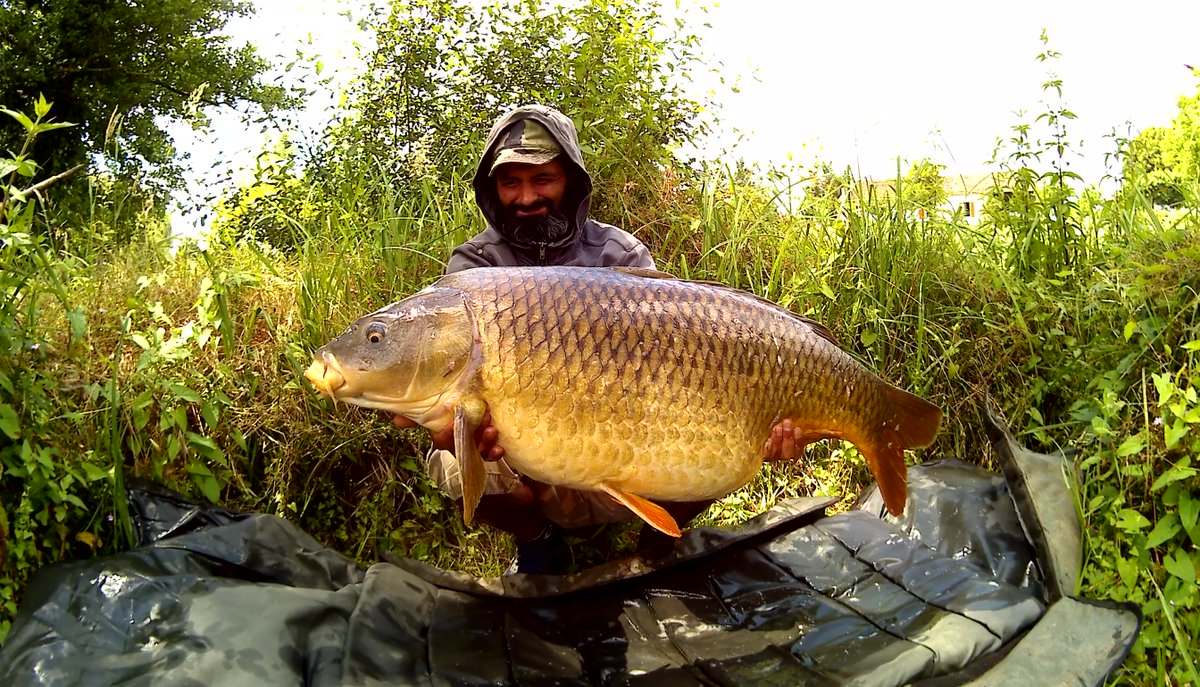 CarpOfTheLot's tweet photo. Il y a du bloc qui tombes! En voici une parmi tan d'autre! Les pêches ultra rapides sont productives! #carpofthelot https://t.co/tsOv29ySip