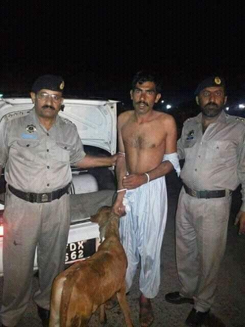 IftikharFirdous's tweet photo. Motorway police says they caught a man trying to rob a cow in a car. The pictures are even more hilarious. Lol https://t.co/aEaVgmejfg