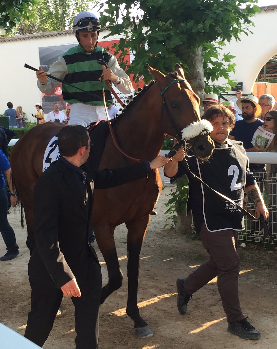 Ferdemente1's tweet photo. A Mendiz, Ana y a mí nos gustó #Azilian de 4 años, bonito galopar, fondo, pero falto de moral, que se la daremos 👌🏾🏇 https://t.co/Q04uafafB2
