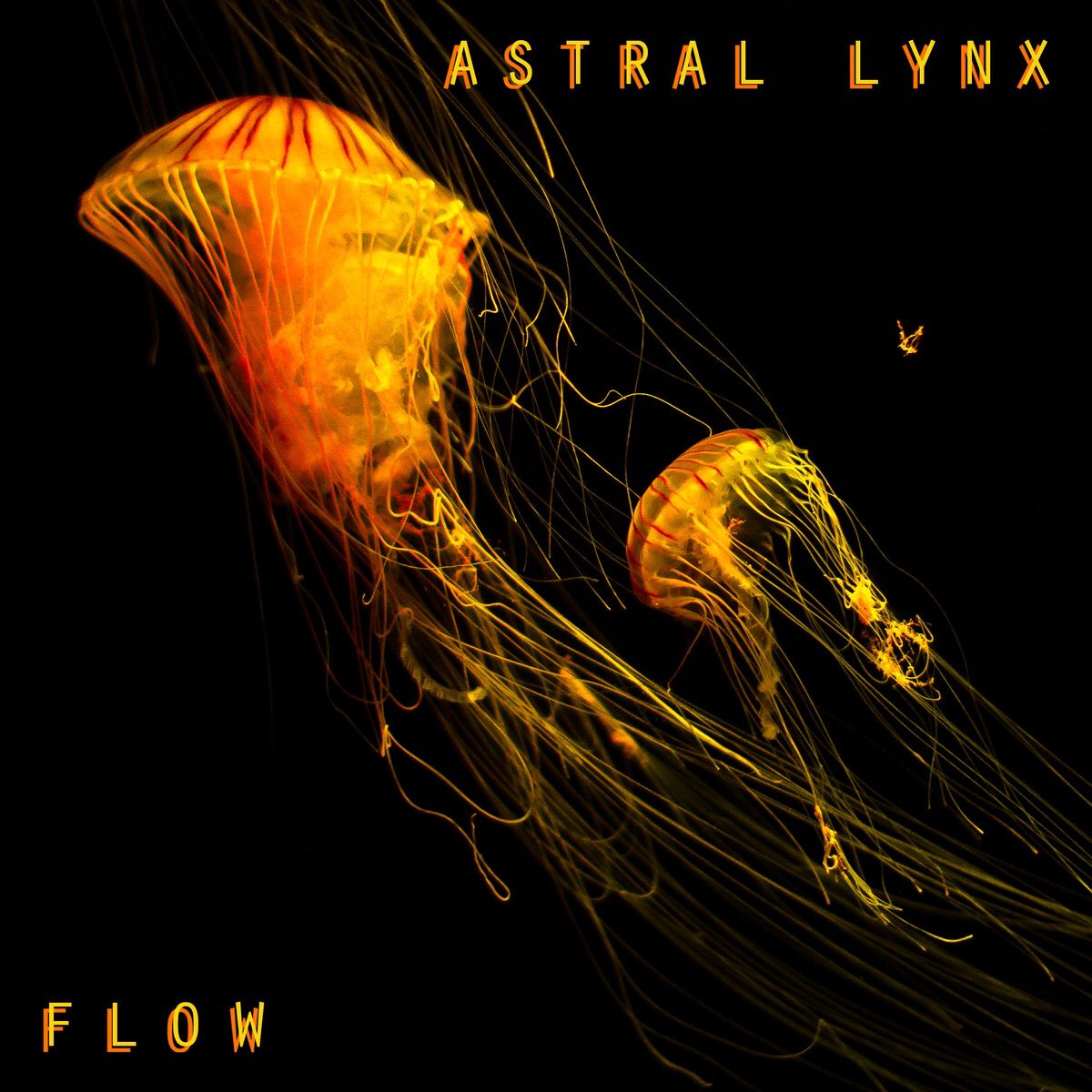 Astra Lynx - Flow 

Debut album out now!  Find it on #iTunes #Bandcamp #Soundcloud #Spotify #YouTube