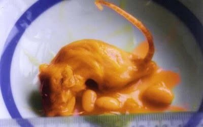 BubblesTPBs's tweet photo. 4 Shocking Things That People Found In Their Food https://t.co/vUHyjEUxle https://t.co/4GUwvoK8Rl