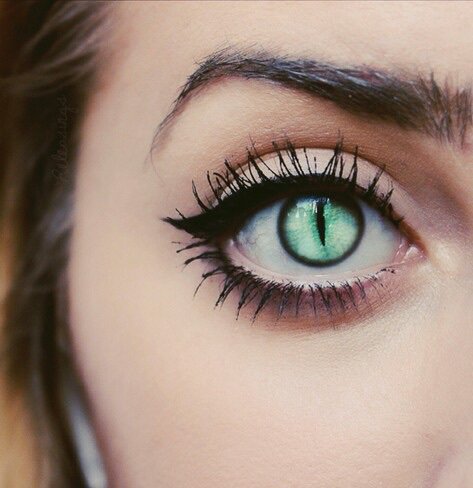 Senisuis's tweet image. Estos son mis ojos en forma humana, ¿os gustan?