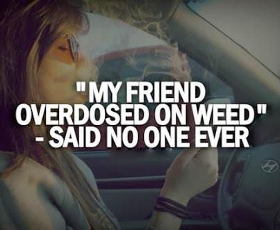RedEyesOnline's tweet image. "My Friend Overdosed On Weed" - Said No One Ever
#LegalizeIt #REO