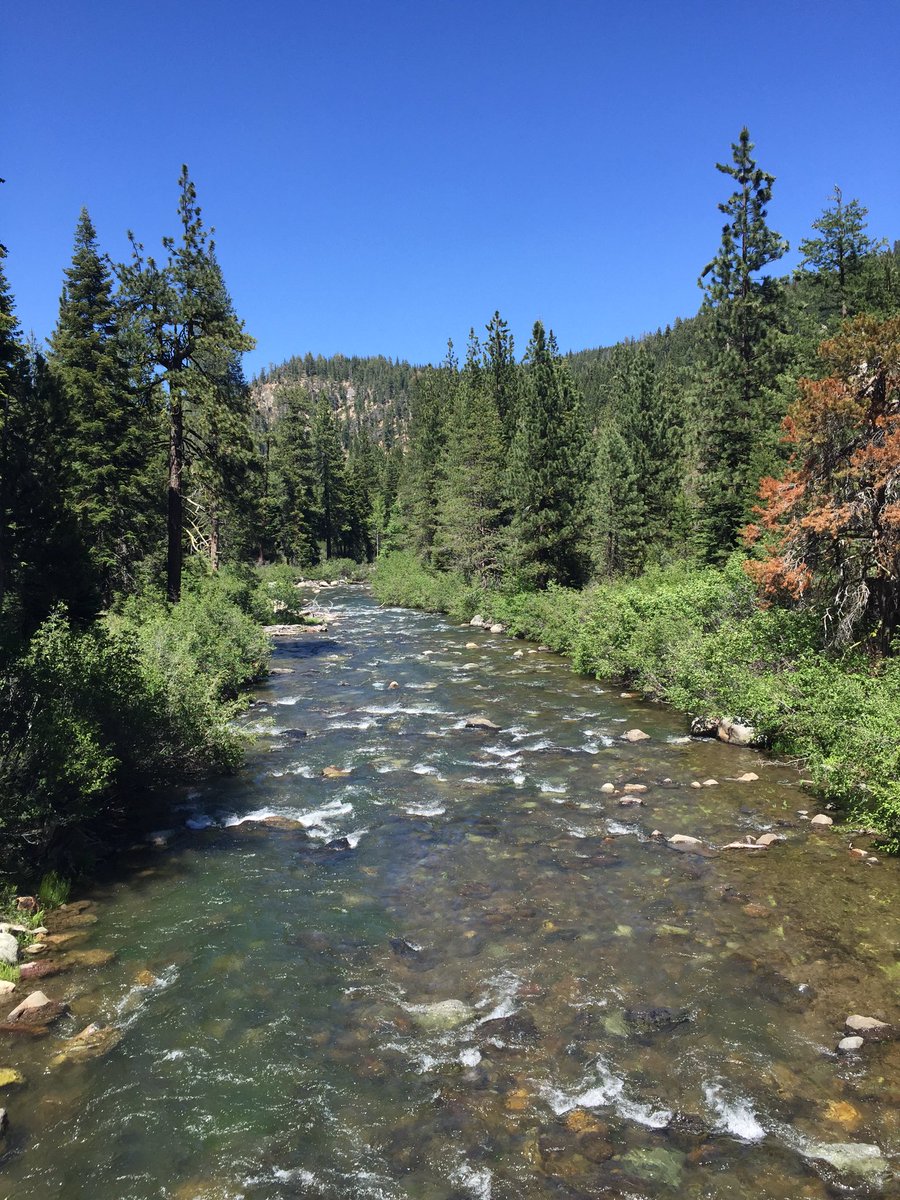 JordanLanglie's tweet photo. Lake Tahoe river path. https://t.co/mssGiTuSzQ