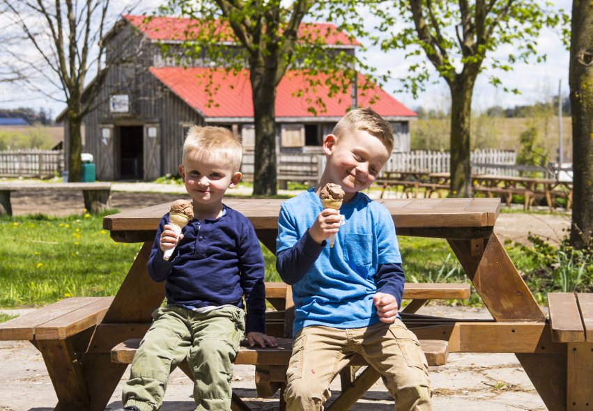 tastereal's tweet photo. It's hot out today, cool off with some ice cream at #LocalFoodFest16 ! https://t.co/BP6yB41IvB @ignatiusguelph https://t.co/19LI3TYaUG