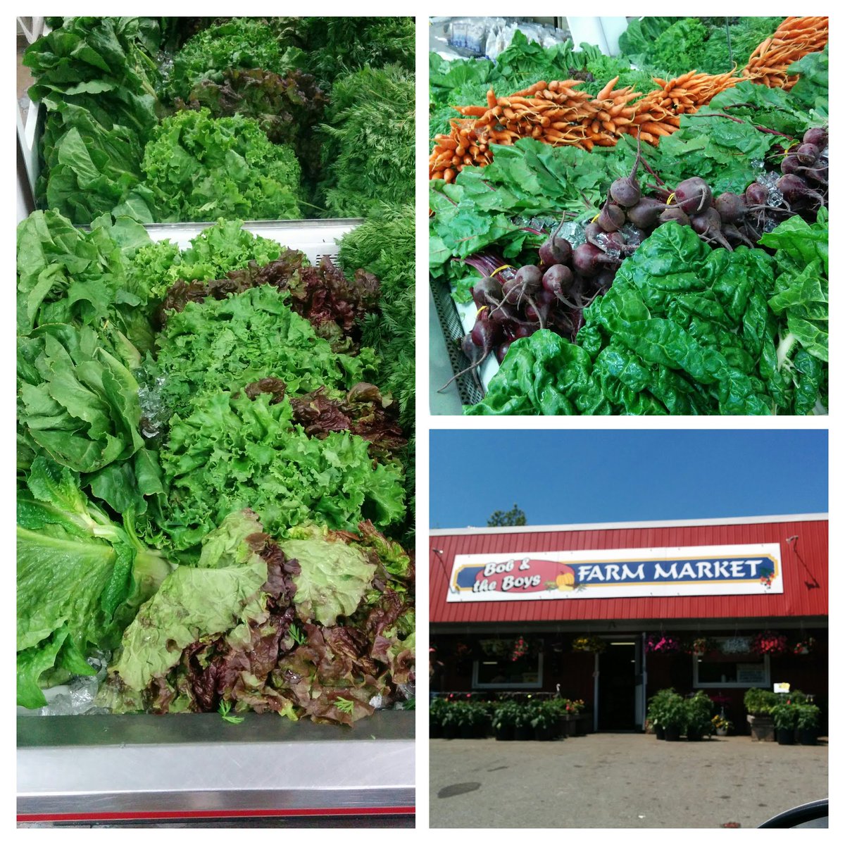 FGNutrition's tweet photo. #EatYourGreens #eatlocal #bobandtheboys https://t.co/hcJINeWI0m