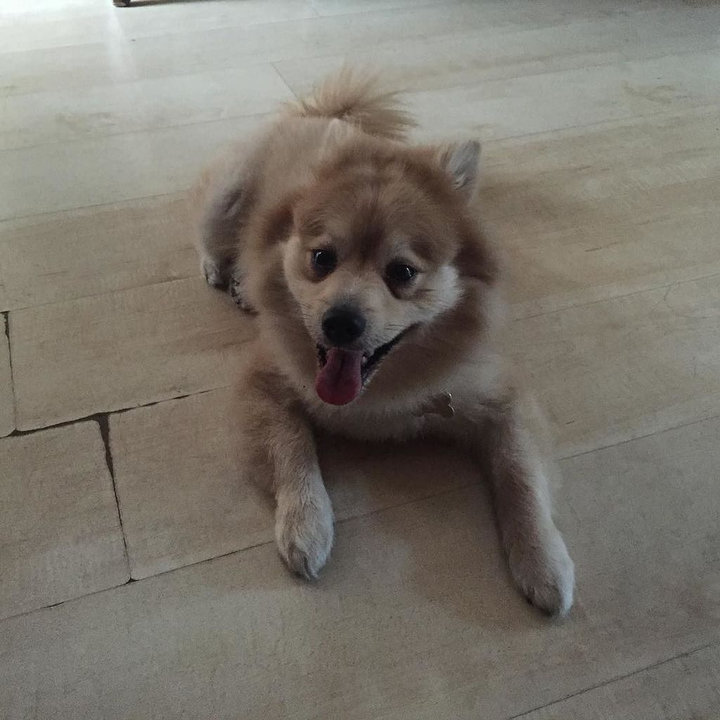 melodyfix's tweet photo. Testing https://t.co/XOulJwXmwD https://t.co/Tp0bomzqGr