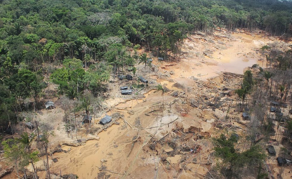 naturaambiental's tweet photo. #DiaDeLosBosquesTropicales va aún llamado a poner los ojos en #Venezuela carcomida por actividades ilegales. https://t.co/yTFPKSaEVs