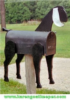 uniquemailbox's tweet photo. Haha https://t.co/5MjhU9xm9w