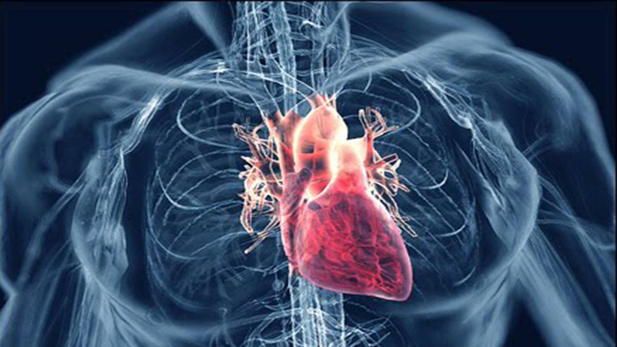 UpriteErgo's tweet photo. #StandingatWork could reduce your risk of #heartdisease. Learn more about the condition h... https://t.co/p8QmBZPKyh https://t.co/5h4s2EclEl