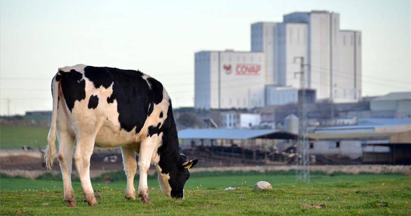 .<a href="/Covap/">COVAP</a> quiere vacas que produzcan 45 litros de leche/día, y <a href="/Alltech/">Alltech</a> le ayuda a conseguirlo alltechspain.blogspot.com.es/2015/12/covap-…