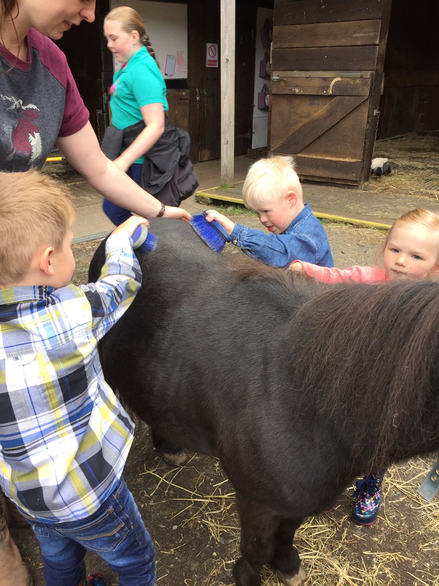 helloharvey's tweet photo. Fab day at Equise #learningwithhorses 👍😍 https://t.co/ug6vA2u2Pq