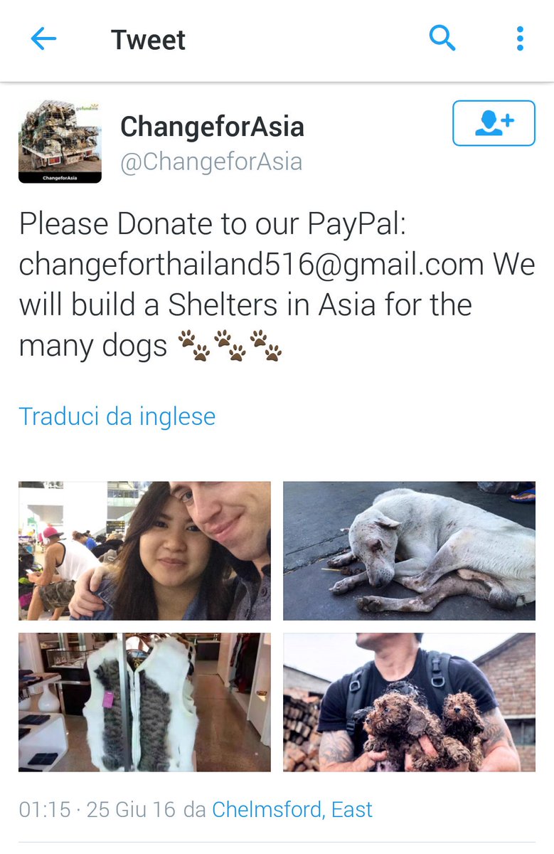 TamaraSka7's tweet photo. WARNING❗@AHWFoundation @Animalhope4all @ChtyCommission
THIS SCAMMER IS USING PHOTOS OF #MarcChing TO ASK DONATIONS https://t.co/LSxzm4tT1q