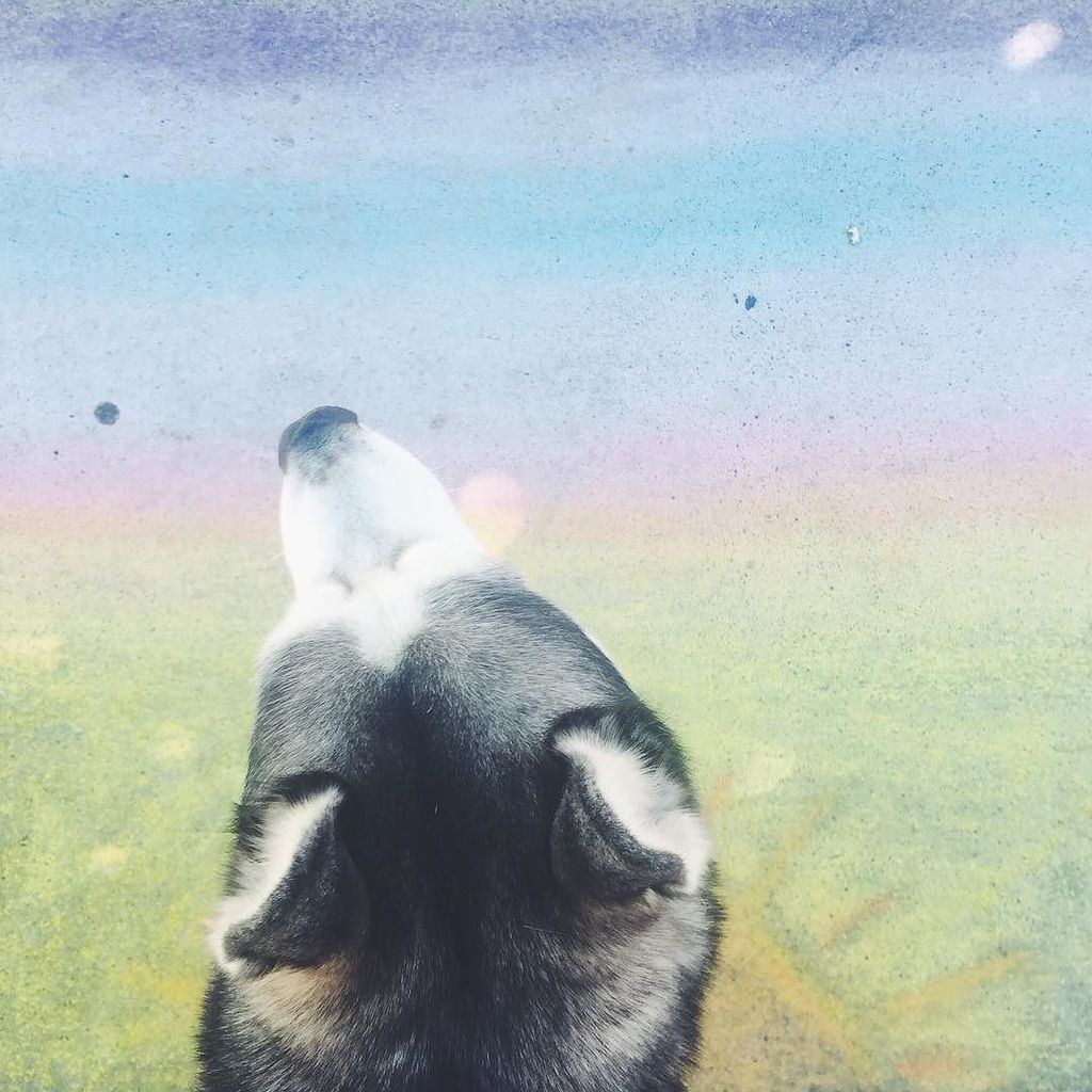 wake_the_wolves's tweet photo. Because #LOVEISLOVE 🌈 // #gaypride #sanfrancisco #hellaheathy #wakethewolves https://t.co/eWHMqujCC7 https://t.co/e2cmgsAKk0