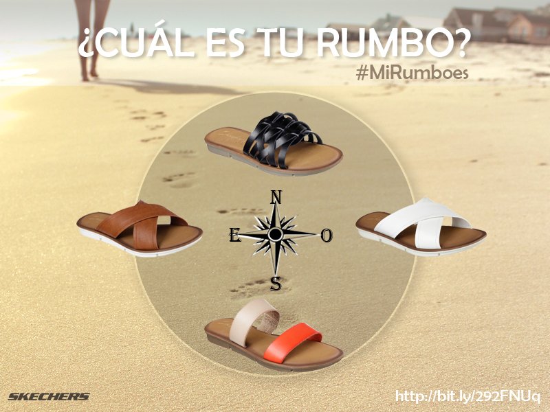 chalas skechers 2016