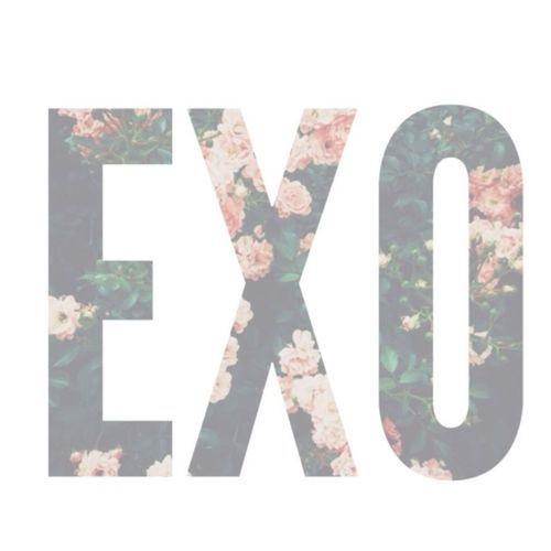 valeri_leras's tweet photo. #EXOlove https://t.co/9vKuYWKqtW