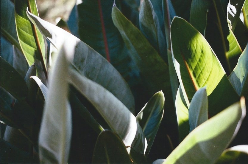 sarejames's tweet photo. Check out new photos on my website! https://t.co/BjxowihyEm #new #photography #website #minoltax700 #film https://t.co/d38H2K3f63