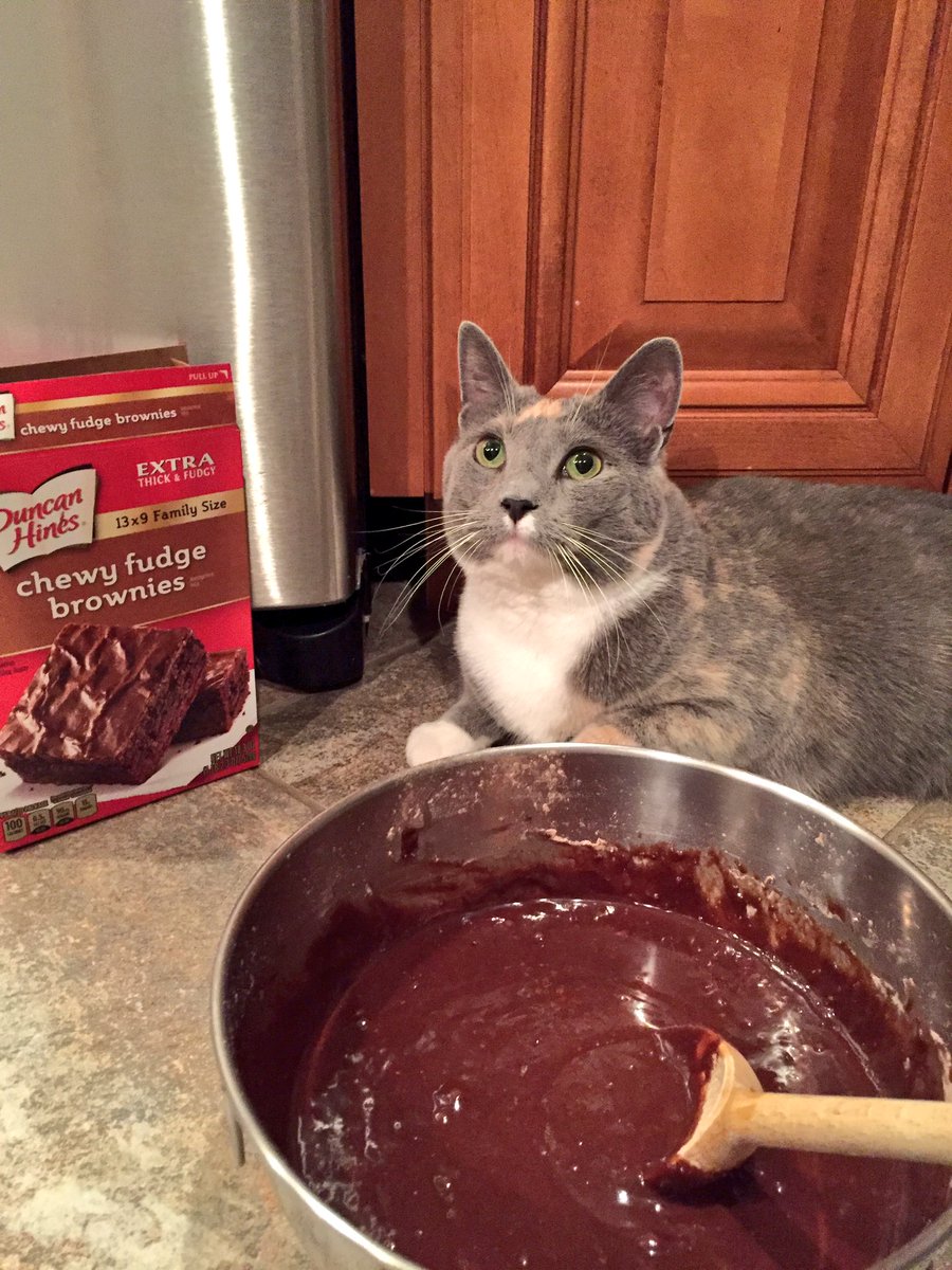 itsphoebeyorks's tweet photo. made brownies last night! #chefphoebe 🍽 https://t.co/EHbEyxJvVL