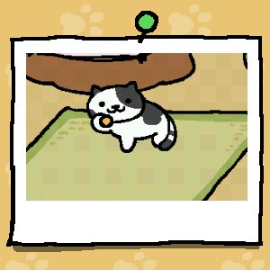 cuddlegurl21's tweet photo. #ねこあつめ look more kawaii cats yah https://t.co/d7ffRlMXES