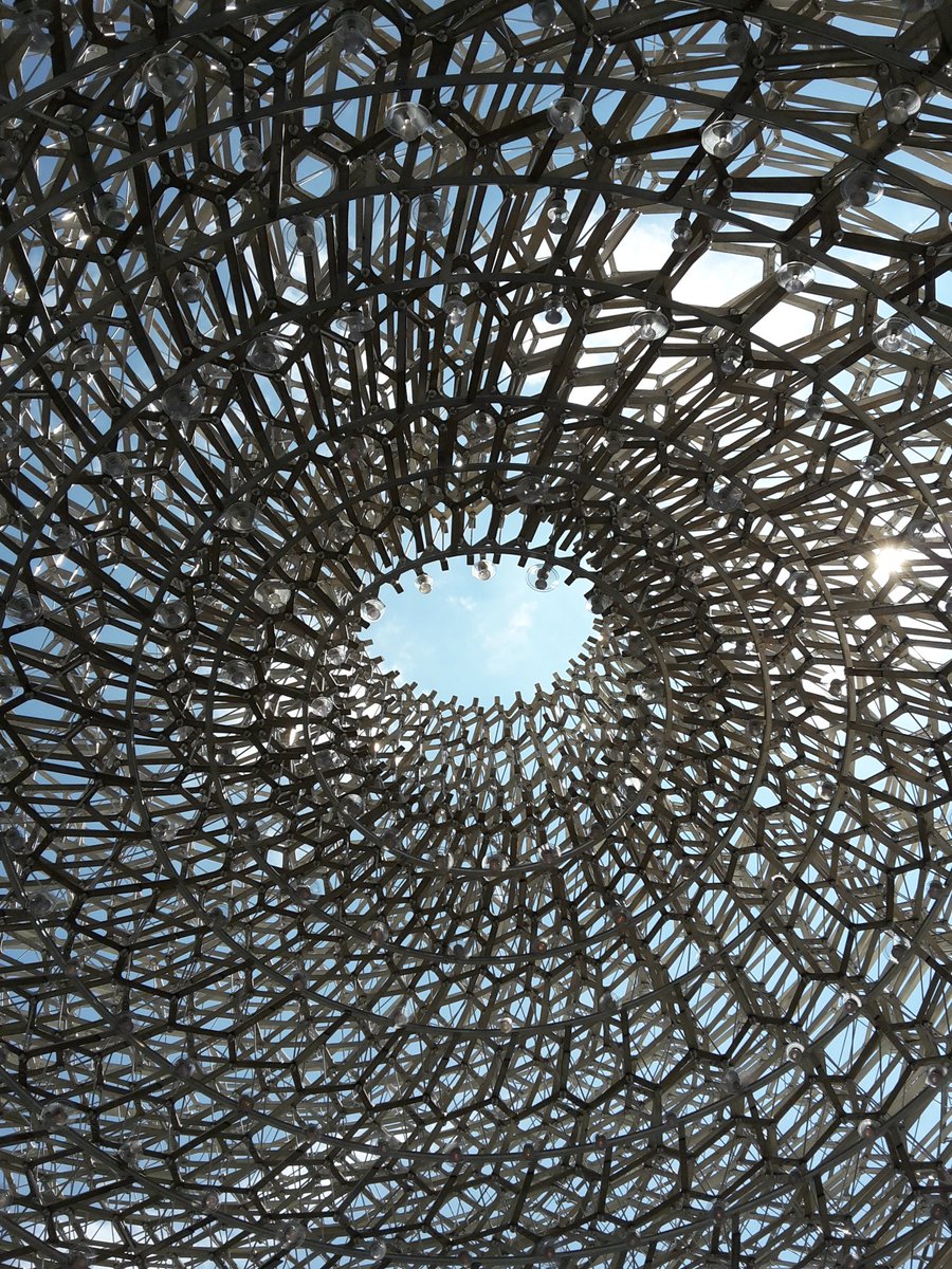 Amy_PinkSpag's tweet photo. @propolis_ps One for you, The Hive at Kew Gardens, brilliant @kewgardens #KewHive #kew2016 https://t.co/ScMeEyaxAP