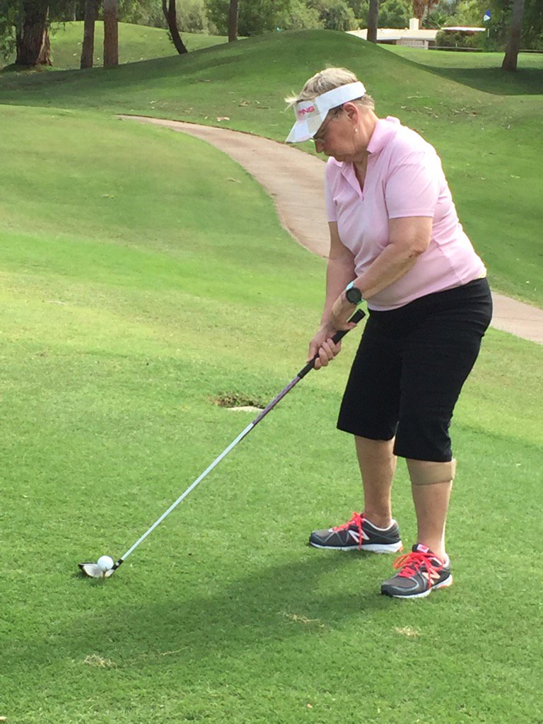 adogster's tweet photo. Tee it up! https://t.co/KYhmQSvnbk