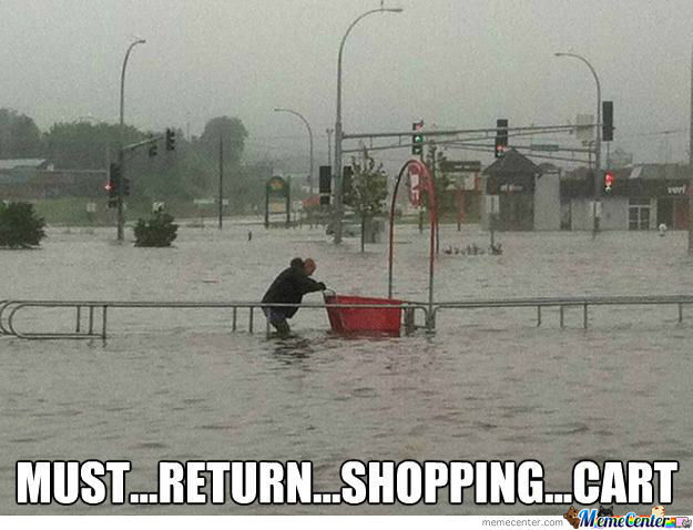 deadpetland's tweet photo. @twittem One thing that I don't miss from Walmart or Canadian Tire is #PushingCarts. @bess_y @careycoole https://t.co/CDLX8uXHGA